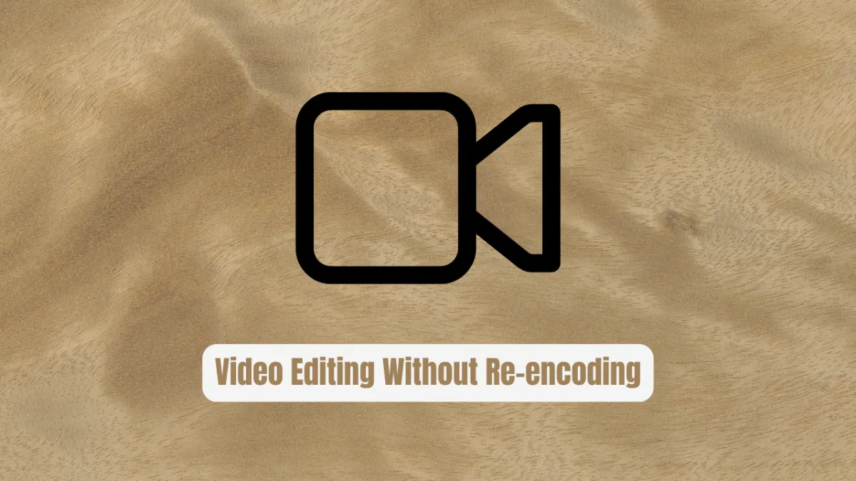 LosslessCut: Video Editing Without Re-encoding