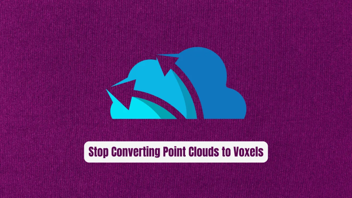 Stop Converting Point Clouds to Voxels! PointNet Changed Everything