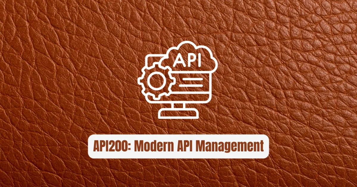 API200: The Revolutionary Gateway for Modern API Management